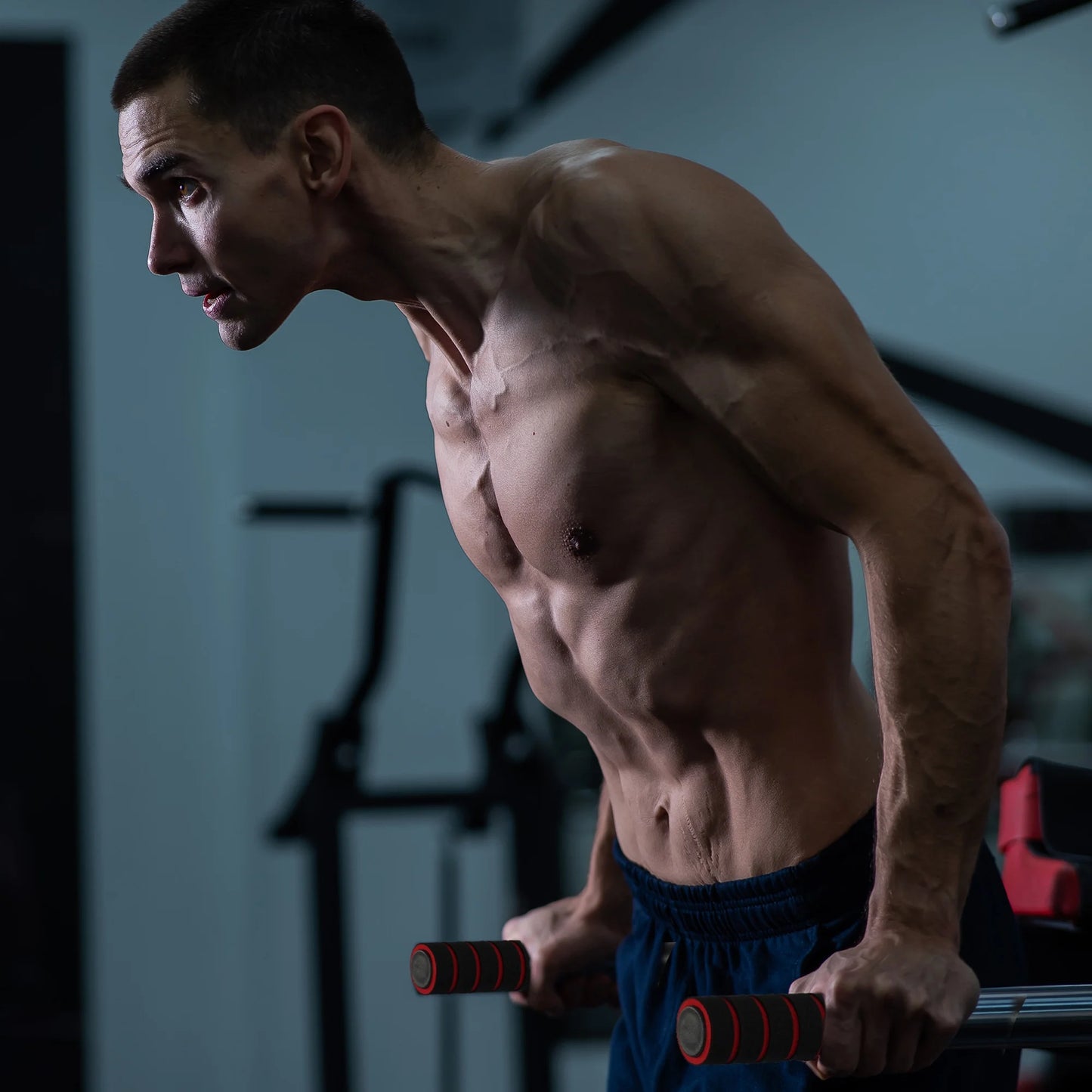 Multi Function Home Gym Exercise Fitness Dip Stand, White