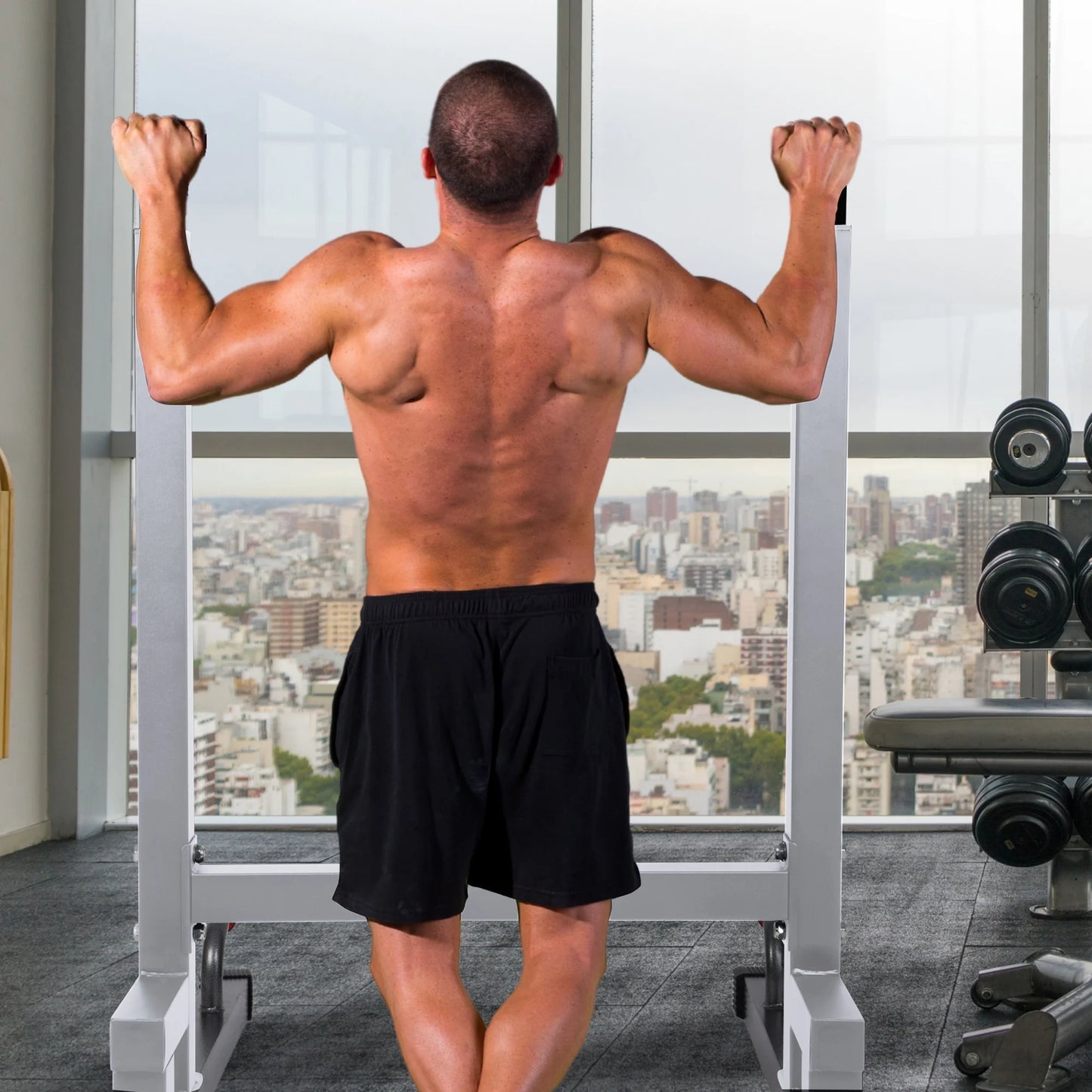 Multi Function Home Gym Exercise Fitness Dip Stand, White